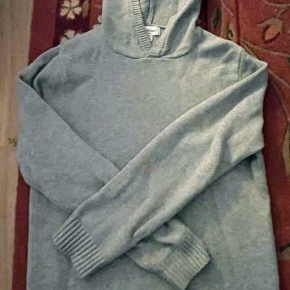 Goodfellow Hooded Sweater